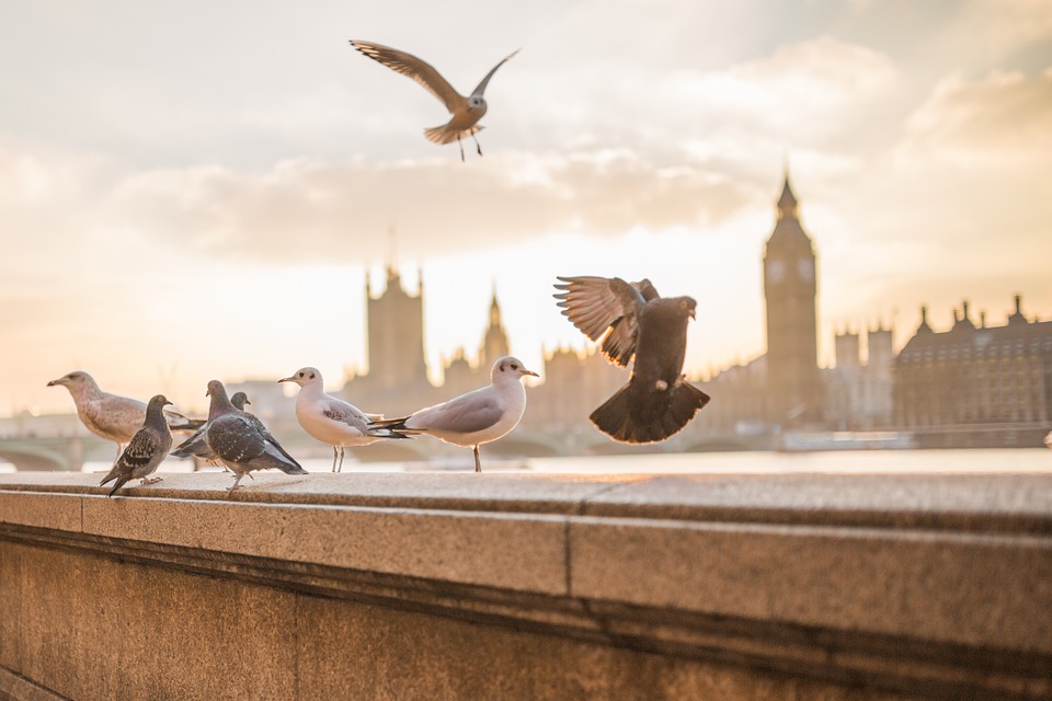 LONDONI ELEMZŐK: TOVÁBBRA IS EGYHARMADOS A RECESSZIÓ ESÉLYE